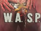 W.A.S.P Band Wasp Animal Vinyl Blackie Lawless Record