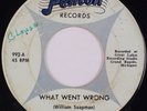 THE PENETRATERS: What Went Wrong US FENTON Michigan Scarce Garage 45 HEAR