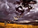 David Gilmour - Rattle That Lock Ltd Heavyweight 16 Photo Lyric Pink Floyd Vinyl