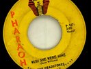 THE HEADSTONES -24 HOURS 45 MCALLEN TEXAS GARAGE FUZZ PUNK 1966 MISPRINT