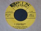 Twilighters   A Possibility / Yes You Are   Spin   Detroit R&B doo wop 45 HEAR