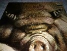 Kin Ping Meh No. 2 RARE PROG KRAUT, GERMAN ORIGINAL Zebra Vinyl LP - kult-