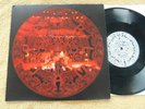 Pearl Jam  - No Jeremy/Falling Down -  1995 Picture Sleeve PS 10