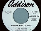 HEAR IT 50's Teener Rocker Promo 45 rpm David Winters 