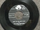 BENNY JOY - BIG JOHN TAYLOR Ittie Bittie Everything BUCK RAM 1000 M- ROCKABILLY