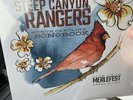 STEEP CANYON RANGERS - NORTH CAROLINA SONGBOOK - TRI COLOUR VINYL LP. 1000 MADE