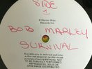 Bob Marley & The wailers- Survival- Rare- TEST PRESSING- NO Reserve-Reggae