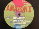 Amazon II - Crazy Trip To The Tropics / Deep In The Jungle Remix 12