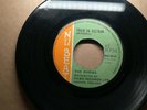 The Rudies Train To Vietnam Skaville To Rainbow City Skinhead Reggae 45 NuBeat