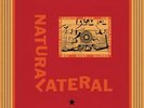 NATURAL LATERAL - Cogito Ergo Jam - Vinyl (140 gram vinyl 12