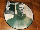 LIAM GALLAGHER Why Me? Why Not. Picture Disc LP Black Friday RSD 2019