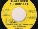 THE SUGAR CUBE BLUES BAND Rare 1967 Mississippi garage/psych 45rpm *AUTOGRAPHED*