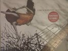 Circa Survive Juturna (Rare)