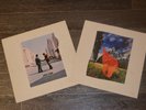 pink floyd - wish you were here lp vinyl italy
