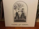 Car Seat Headrest Teens Of Denial Recalled LP Ric Ocasek