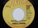 Modern Soul 45 CHARLES JOHNSON Never Had A Love So Good ALSTON HEAR