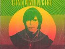 NEIL YOUNG and CRAZY HORSE 45 CINNAMON GIRL+PS HOLLAND RARE 1970