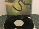 The Serpents Egg Lp Dead Can Dance CAD 808