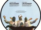 THE BEATLES UK PICTURE DISC HELLO GOODBYE, I AM THE WALRUS  NM