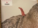CATE LE BON REWARD DINKED RED WHITE BLACK SPLATTER VINYL LP 2019 MINT / SEALED  