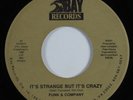 Funk Boogie 45 FUNK & COMPANY It's Strange But It's Crazy BAY unknown HEAR