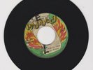 FULFILLMENT OF PROPHECY/ WORDS OF FIRE - BRIGHT WYNTER (74 REGGAE ROOTS 7