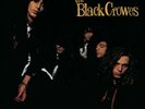 THE BLACK CROWES : SHAKE YOUR MONEY MAKER : 180 GRAM VINYL LP +MP3 DOWNLOAD
