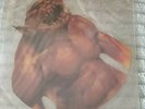 METALLICA - JUMP IN THE FIRE SHAPED PICTURE  VINYL RECORD