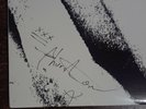 Ciccone Youth - The Whitey Album - lp autographed by Thurston Moore