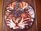 survivor eye of the tiger 7