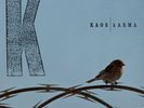 Kaos - Karma 2x LP Double 12