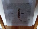Bear's den So That You Might Hear Me Vinyl Lp New