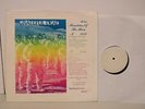 Grateful Dead Live - Mountains of The Moon   - Rock LP
