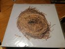 Wilco ?– A Ghost Is Born 2xLP sealed vinyl