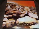 LED ZEPPELIN / HOUSES OF THE HOLY / GATEFOLD / INNER SLEEVE - VERY GOOD++