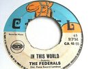 The Federals ?– In This World - Reggae - Camel