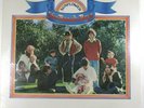 The Beach Boys  Brother/Reprise 6382  Sunflower  Still Sealed