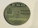 Gangsta Rap G-Funk Sealed  E.S.G. - Swangin and Bangin * 1994 Perrion 12