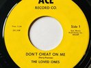 Moody Garage Psych 45 THE LOVED ONES Don’t Cheat On Me / Winter Summer ACE rare