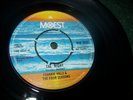 Frankie Valli & The Four Seasons - The Night 7