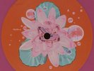 Björk ?– Post Label: One Little Indian ?– TPLP51L -  Vinyl, LP, Album, Pink