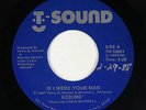 Modern Soul/Funk Boogie 45 - Resume - If I Were Your Man - T-Sound VG++ obscure