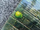 THE BEATLES 1969 UK 1ST PRESS ABBEY ROAD WITH RARE MISALIGNED APPLE SLEEVE