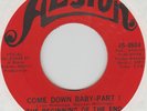 BEGINNING OF THE END - COME DOWN BABY PARTS 1 & 2 Alston 45