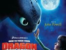 How To Train Your Dragon **BRAND NEW PICTURE DISC RECORD LP VINYL