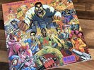 ORIGINAL 1st PRESS MASSIVE ATTACK V MAD PROFESSOR NO PROTECTION 1995 VINYL LP