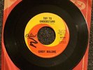 CINDY MALONE TRY TO UNDERSTAND; RARE 1966 CAPITOL 5734 NORTHERN SOUL 45