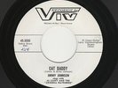 '56 TwinSpin AZ. Rockabilly JIMMY JOHNSON Cat Daddy/How About Me VIV M- HEARBOTH