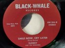 The Sunglows It's Okay / Sunny Smile Now, Cry Later 45 rpm single 7