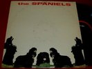 The Spaniels  